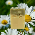 Daisies & Bergamot soap