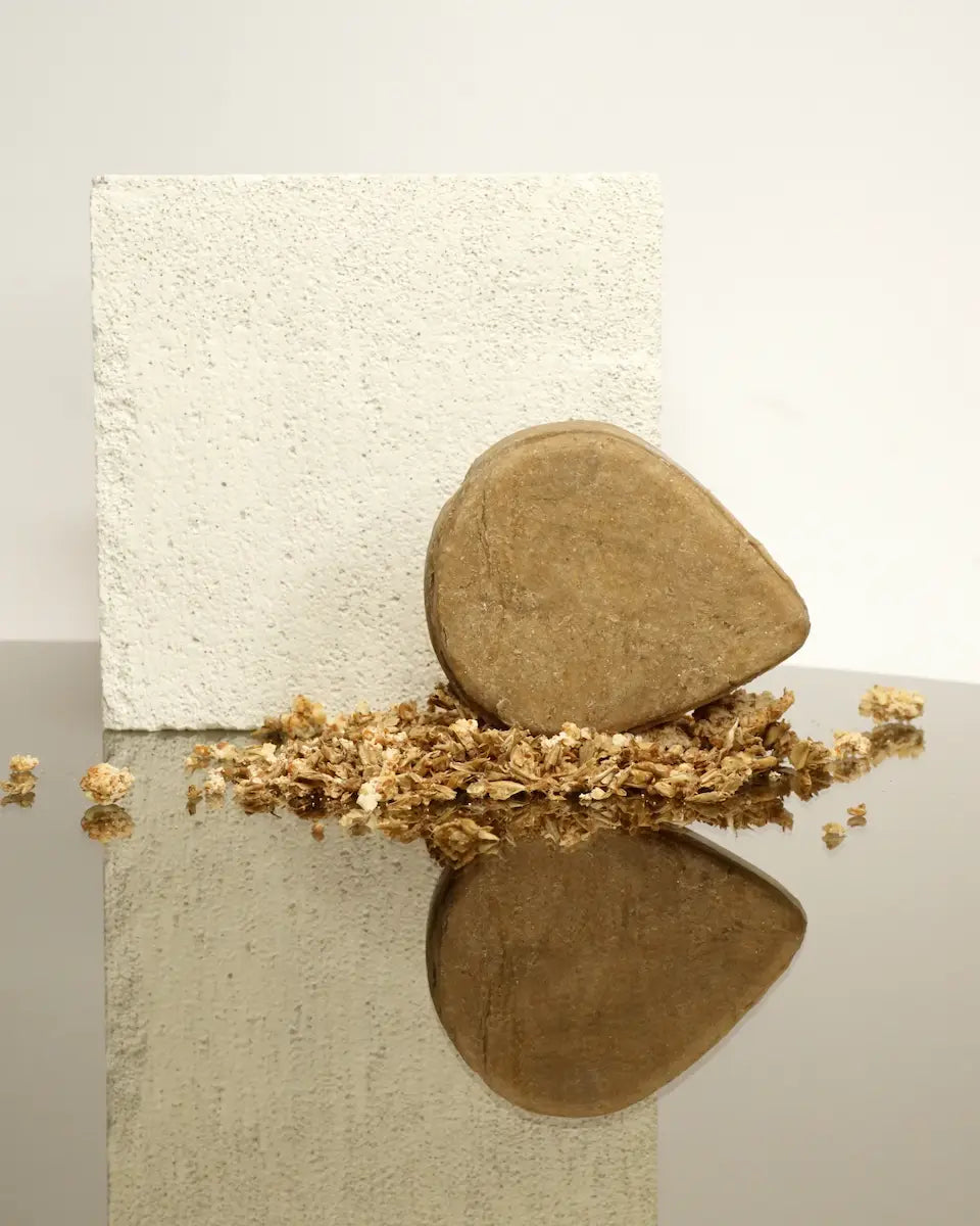 Shampoo Bar Bier