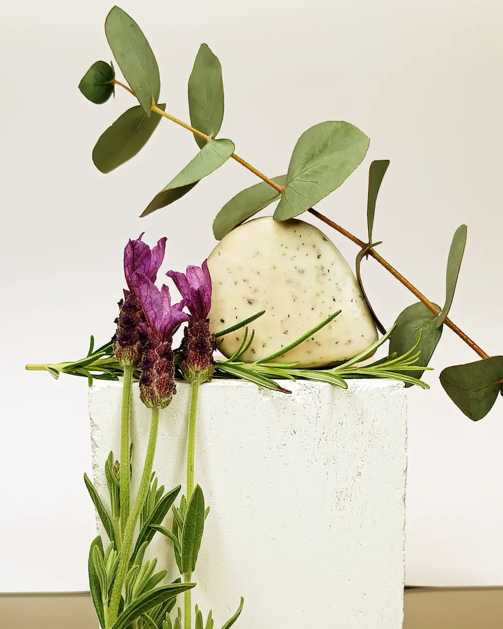 Shampoo Bar voedt & herstelt