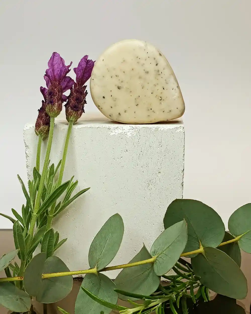 Shampoo Bar Voedt & Herstel