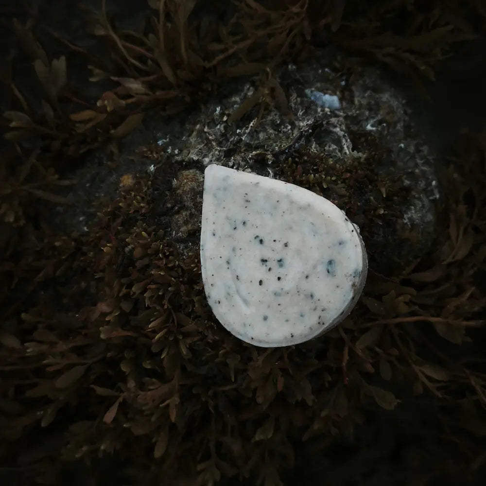 Shampoo Bar Voedt & Herstel voor Normaal tot Droog Haar