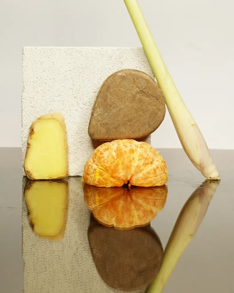 Shampoo Bar Bier